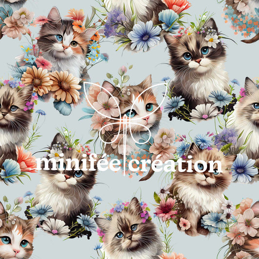 Chats mignons