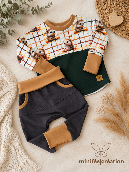 Ensemble évolutif | petits hérissons mignons | 3-12 mois, 1-3 ans
